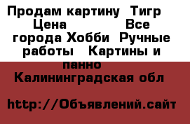 Продам картину “Тигр“ › Цена ­ 15 000 - Все города Хобби. Ручные работы » Картины и панно   . Калининградская обл.